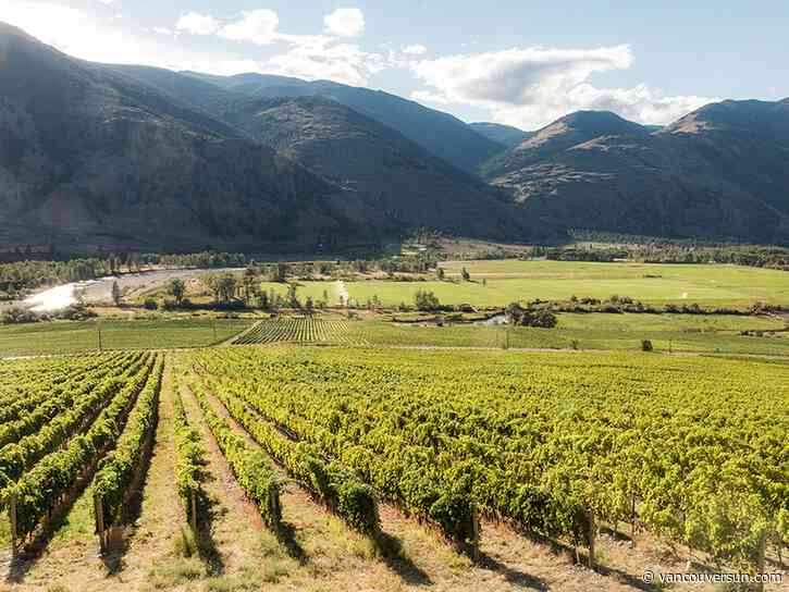 Anthony Gismondi: More places to visit on a wine tour of the South Okanagan and Similkameen Valleys