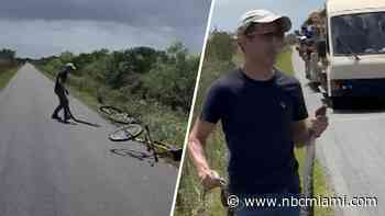 Man who wrangled invasive python in Everglades National Park has citation dropped