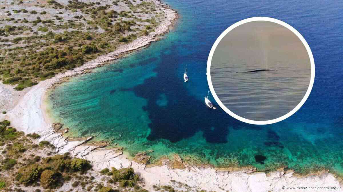 Sensationsaufnahme vor Kroatien-Insel: Fischer entdeckt 70 Tonnen schweren Meeresgiganten in der Adria