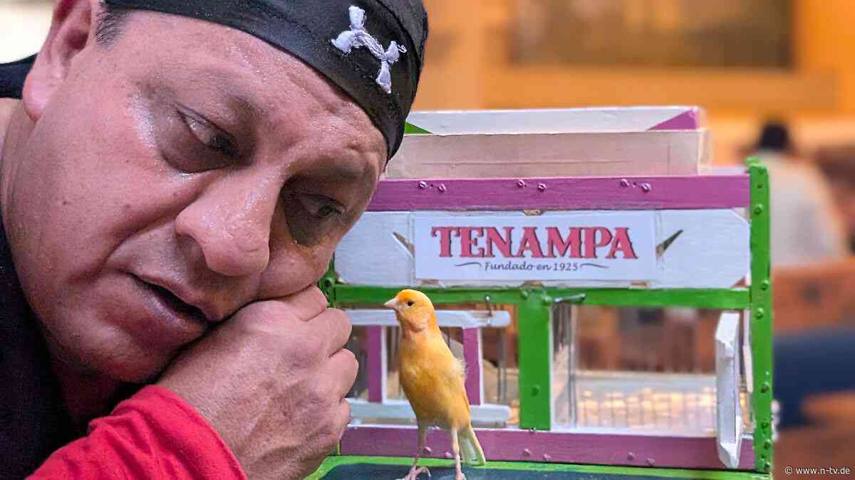 Das WM-Tagebuch: Mexikanischer Kanarienvogel: Deutschland wird Weltmeister