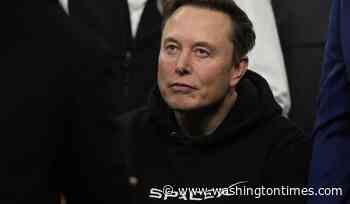 From rockets to brain implants, here's a look at Elon Musk's vast empire