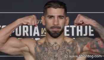 UFC White House weigh-in results: 2 title fights set