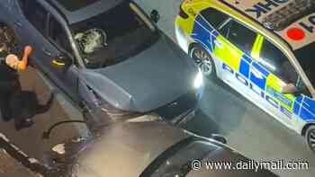 Lady Eliza Manners' heartache as her car is rammed by stolen motor in Notting Hill