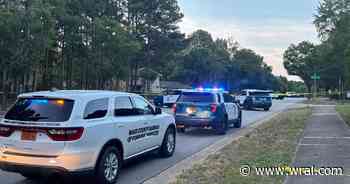 Pedestrian killed on Buffaloe Road in Raleigh during hit-and-run crash early Saturday morning