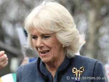 Queen Camilla Allegedly Demands King Charles Punish 'Arrogant' Prince William