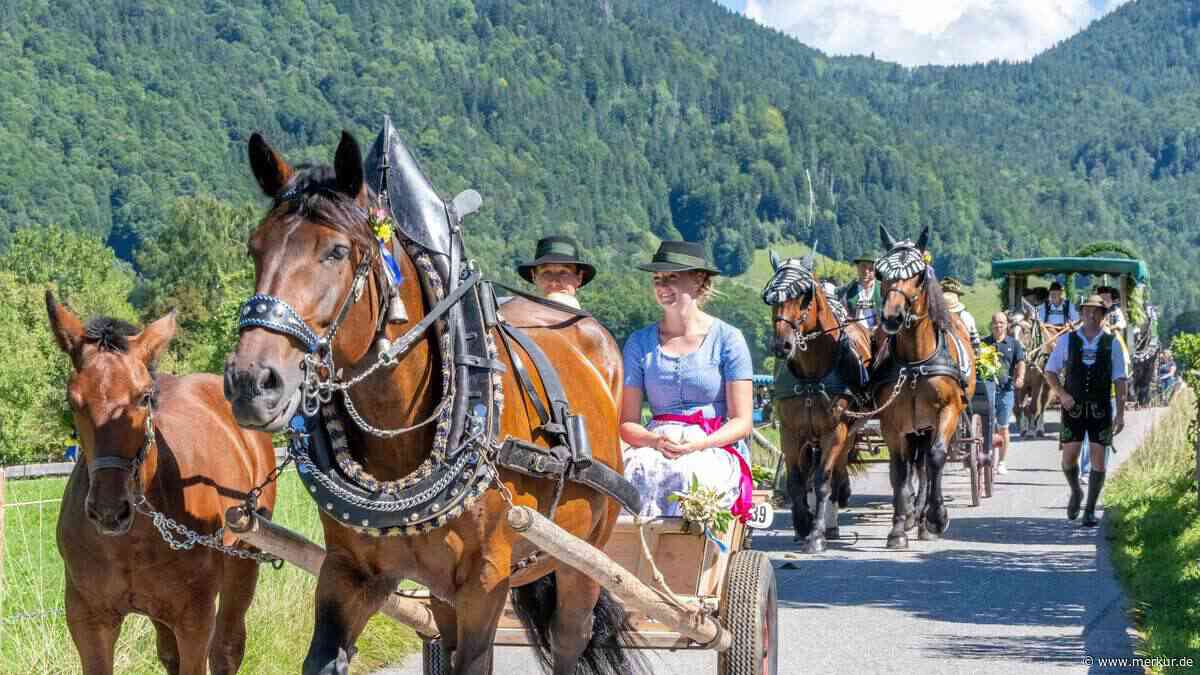 Rosstag am Tegernsee: Gemeinde setzt wieder auf Schaufahren und Festzelt