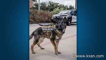 K-9 officer with Round Rock PD passes away after cancer battle