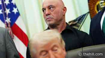Rogan vents frustration with Trump agenda: ‘What the f--- we doing?’