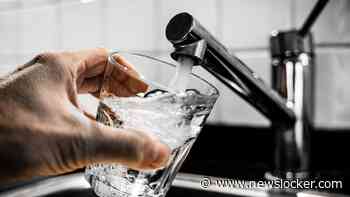 Advies voor inwoners regio Dordrecht weer ingetrokken: drinkwater vrij van poepbacterie