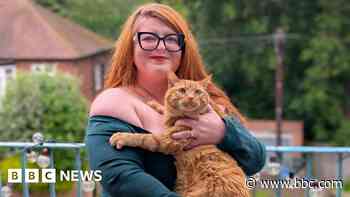 'Our cat mayor poll had higher turnout than Brexit'