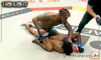 PFL Nigeria highlight video: Boule Godogo pounds out Dauda Rajabu
