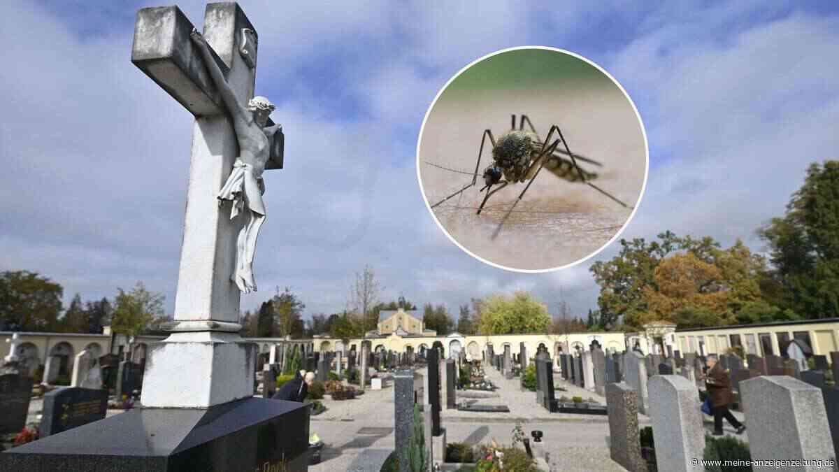 Studie zum West-Nil-Virus zeigt: Zahlen in Deutschland teilweise vergleichbar mit Südeuropa