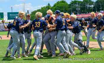 Averill Park baseball knocks off undefeated foe to win state championship