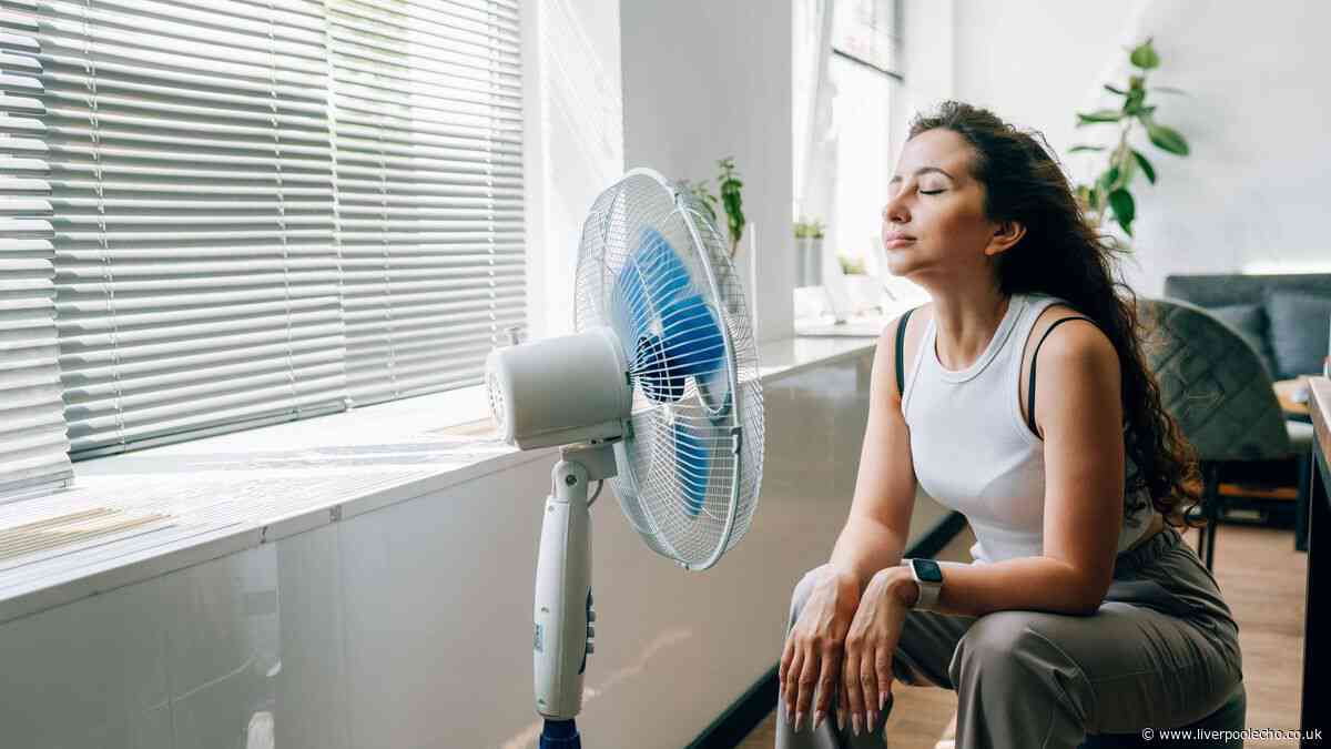 Cool homes faster with 1 simple and effective task before switching on fan