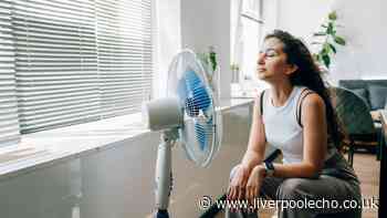 Cool homes faster with 1 simple and effective task before switching on fan