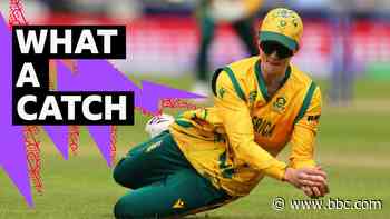 'An absolute screamer' - Wolvaardt dismisses Wareham with great catch