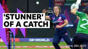 'She can't believe it!' Brilliant Bryce takes incredible catch