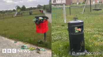 Dog poo bins not emptied for months, says resident