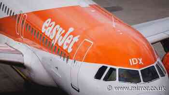 EasyJet captain 'wrestles passenger to the floor' seconds before take-off from Luton
