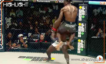PFL Nigeria highlight video: Patrick Ocheme wrecks Ayinda Octave with jump knee