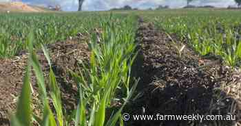Soil moisture needed boost from recent rains as some crops slow to take off