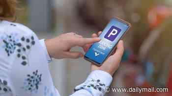 ABIGAIL BRADSHAW: Mind-numbing parking apps, websites with no telephone number...why we must all declare war on those everyday niggles driving us up the wall