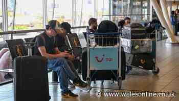 British holidaymakers warning of six-hour waits at European airports