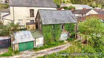 Sad state of chapel reclaimed by nature in Welsh village - but inside is a different story