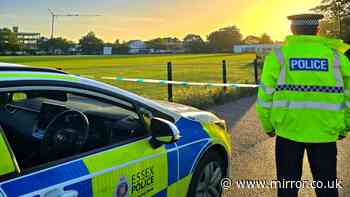 Two teens arrested after late-night Essex incident leaves girl in critical condition