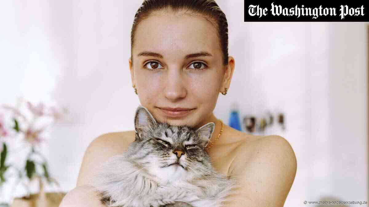 Katzen könnten Wissenschaftlern helfen, menschlichen Krebs besser zu verstehen