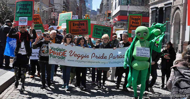 Veganismo e teoria queer sono compagni di strada: i diritti sono di tutt* o restano privilegi