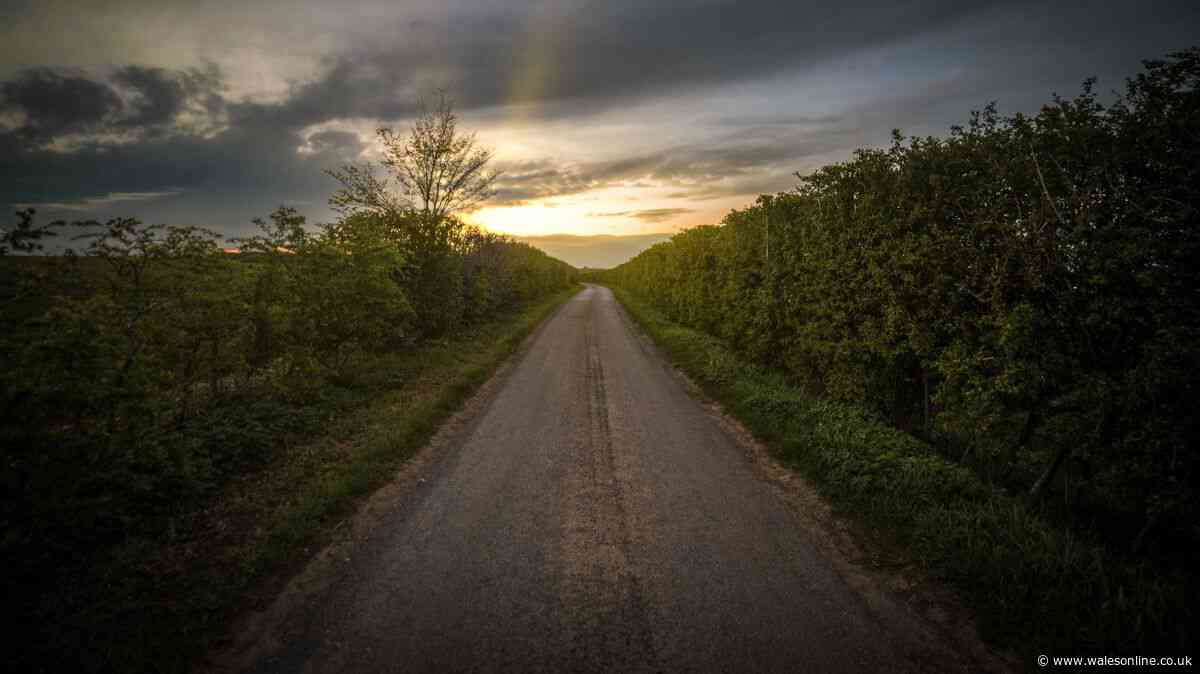 Road expert explains real reason narrow country lanes have 60mph speed limit