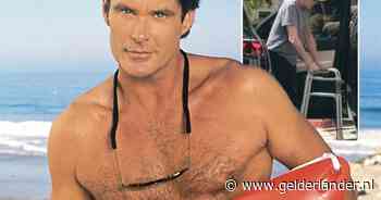Na drankverslaving, verdwenen fortuin en zelfdoding van zijn ex: David Hasselhoff is schim van zichzelf