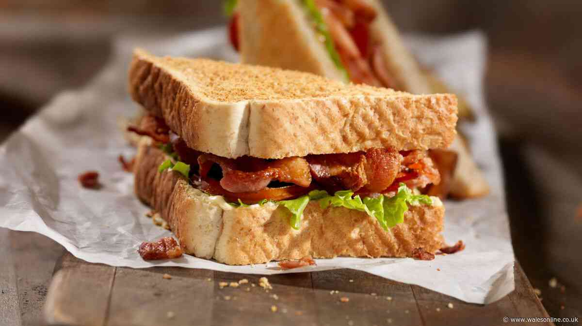 Bacon sandwiches will be perfectly crispy with 1 simple step done before eating