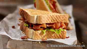 Bacon sandwiches will be perfectly crispy with 1 simple step done before eating