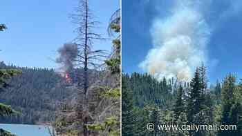 US Navy fighter jet CRASHES near lake sparking fireball and sending thick plume of smoke into the air