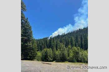 Pilot safely ejects before fighter jet crashes into mountain in Washington state woodlands