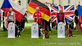 „Dieser Hund ist eine Rakete“: Traunreuterin holt mit Border Collie Winston den WM-Titel