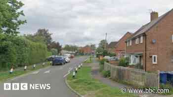 'Teens threw stones at man before racially abusing him'