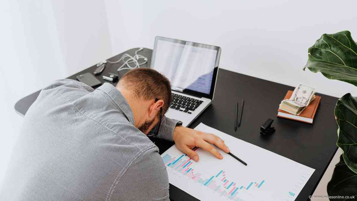 Herb 'reduces fatigue' and fights '3pm slump'