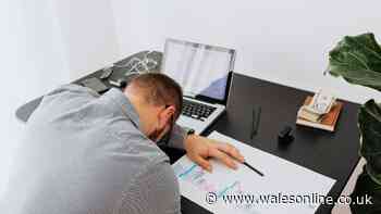 Herb 'reduces fatigue' and fights '3pm slump'