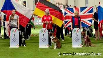 „Dieser Hund ist eine Rakete“: Traunreuterin holt mit Border Collie Winston den WM-Titel