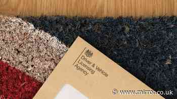 DVLA warns drivers over log book mistake that could see your car cloned