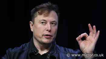 Elon Musk's ‘power-up’ breakfast that's packed with protein and makes him feel young