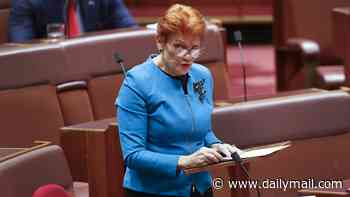 Pauline Hanson's plan to attack Albo at State of Origin as her war chest reaches almost $4million - and map shows where the donations are coming in from