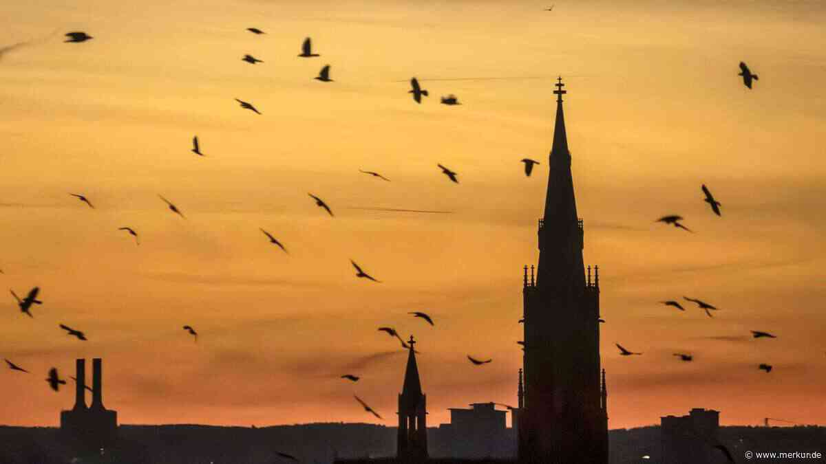 15. Juni soll alles entscheiden: Alte Bauernregel gibt große Vorhersage für 2026