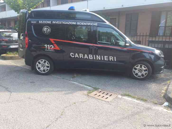 Uccide la zia a coltellate e getta il corpo nel fiume, 17enne confessa ai carabinieri