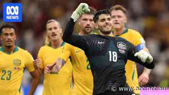 The Socceroos' greatest ever World Cup gamble just paid off