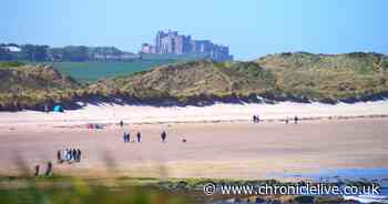 The top 26 best days out across the North East to do in the summer holidays
