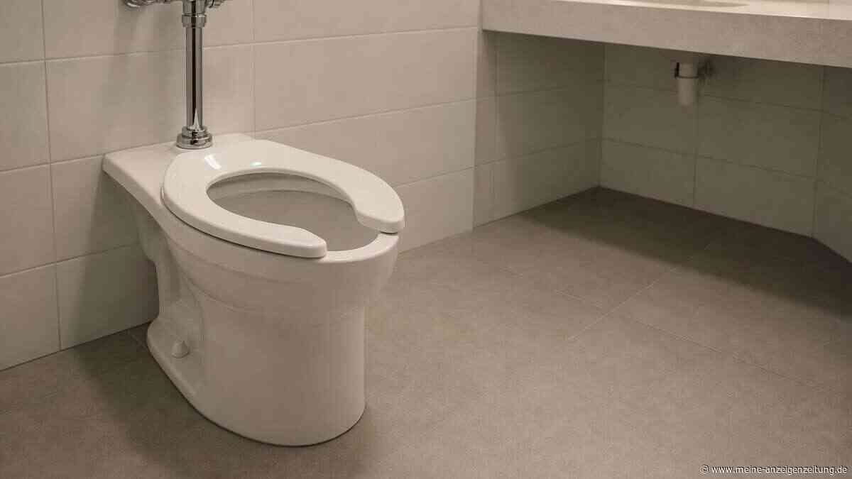 Toilettensitze mit Lücke: Das steckt hinter dem U-Design